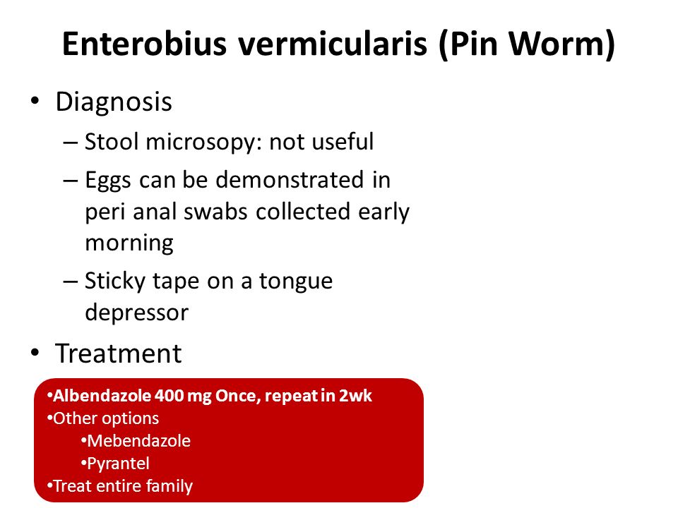 enterobius vermicularis treatment pediatric