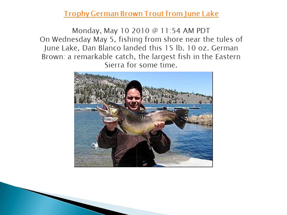 Trophy German Brown Trout from June Lake Monday, May 10 11:54 AM PDT On Wednesday May 5, fishing from shore near the tules of June Lake, Dan Blanco landed this 15 lb.