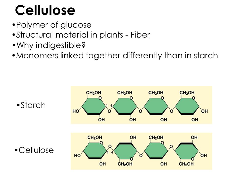 Carbohydrates Lipids Key Words Dehydration Synthesis Condensation Polymer Monomer Carbohydrate Simple Sugar Complex Carbohydrate Starch Glycogen Cellulose Ppt Download