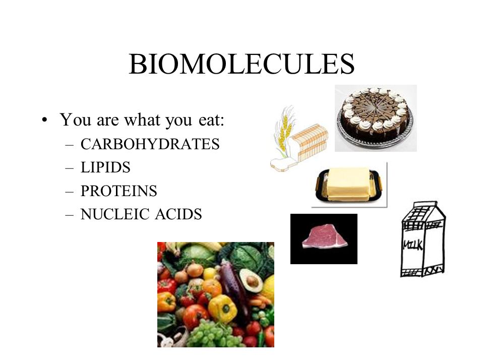 BIOMOLECULES You are what you eat: –CARBOHYDRATES –LIPIDS –PROTEINS –NUCLEIC ACIDS