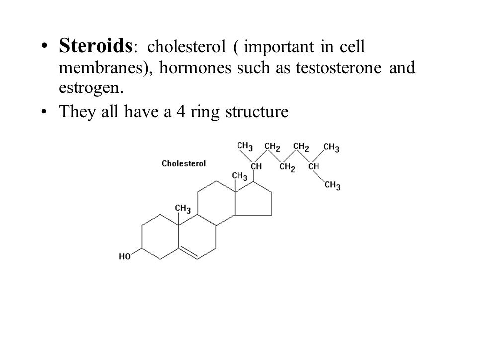 Steroids : cholesterol ( important in cell membranes), hormones such as testosterone and estrogen.