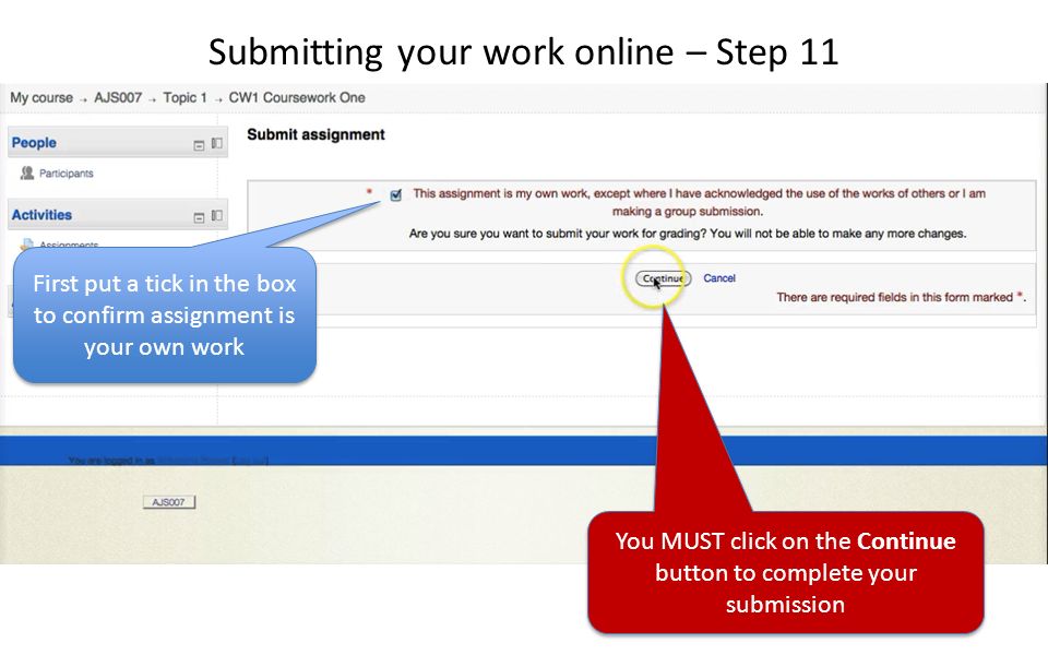 First put a tick in the box to confirm assignment is your own work Submitting your work online – Step 11 You MUST click on the Continue button to complete your submission