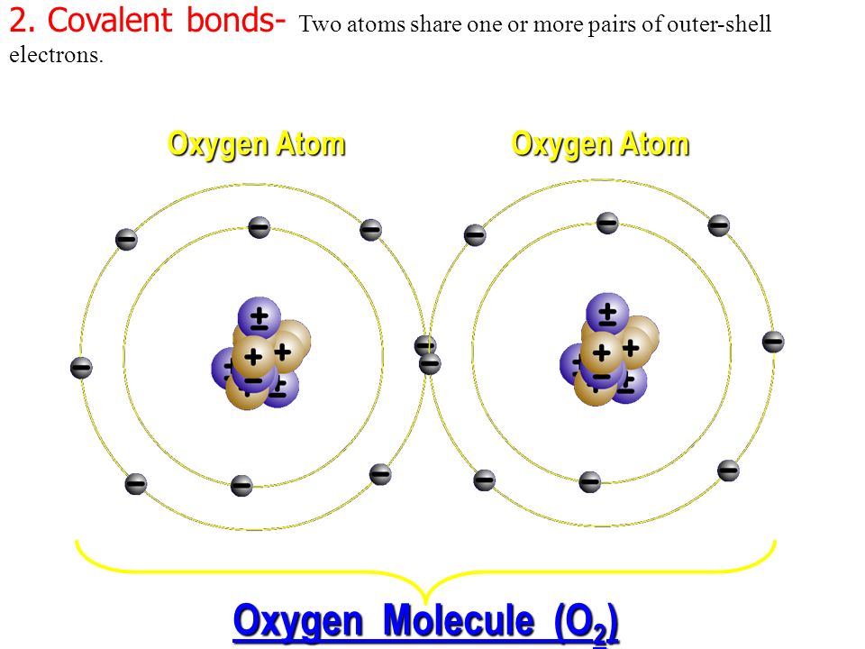 when electrons are shared equally NONPOLAR COVALENT BONDS H 2 or Cl 2