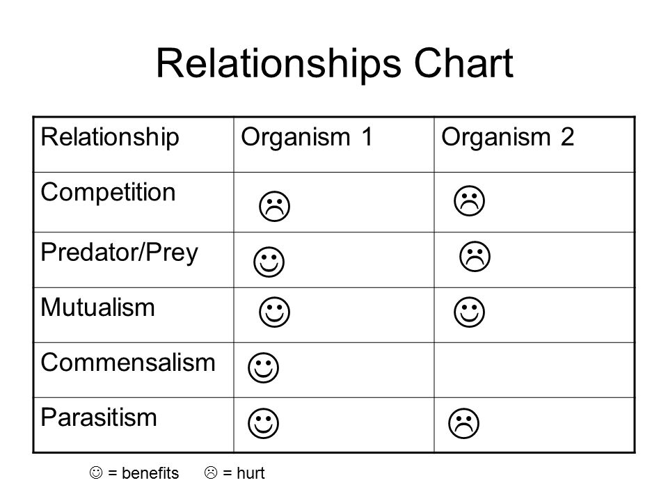 Symbiotic Relationship Chart