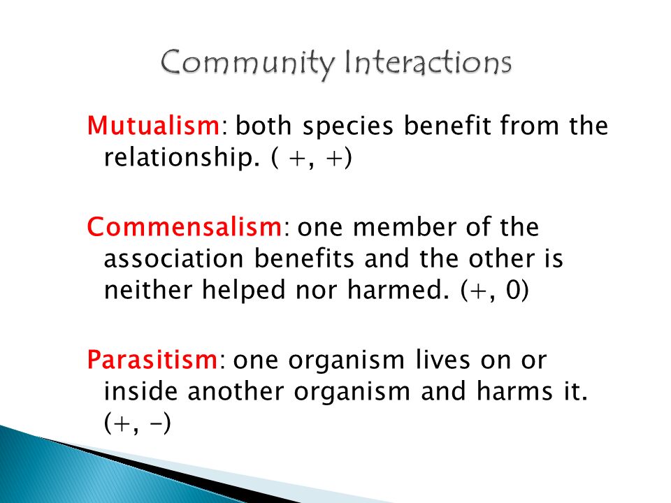 Mutualism: both species benefit from the relationship.