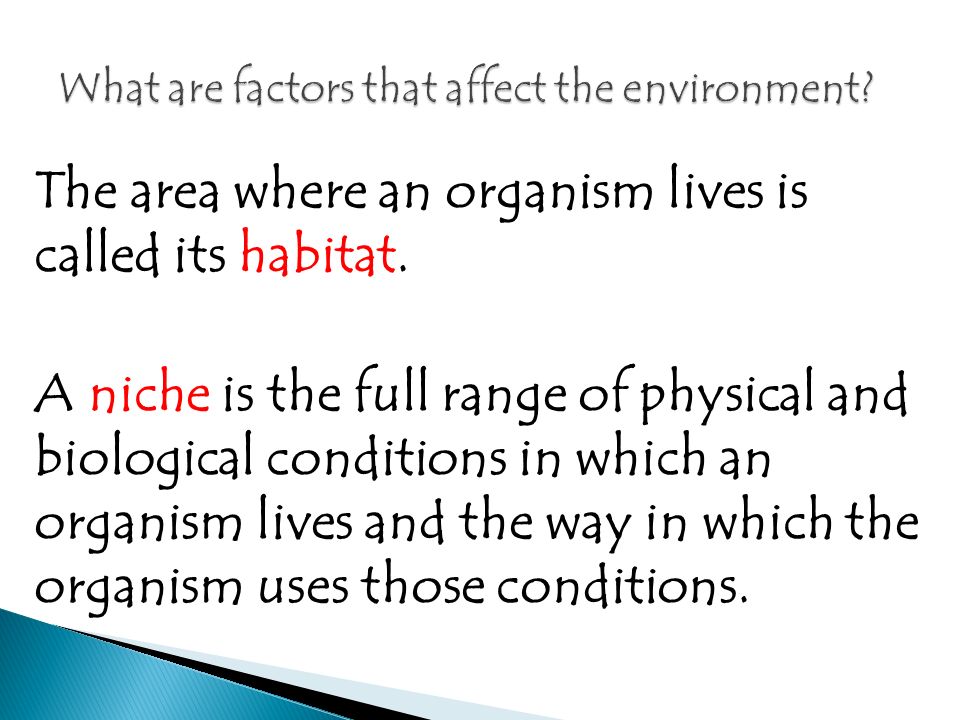 The area where an organism lives is called its habitat.