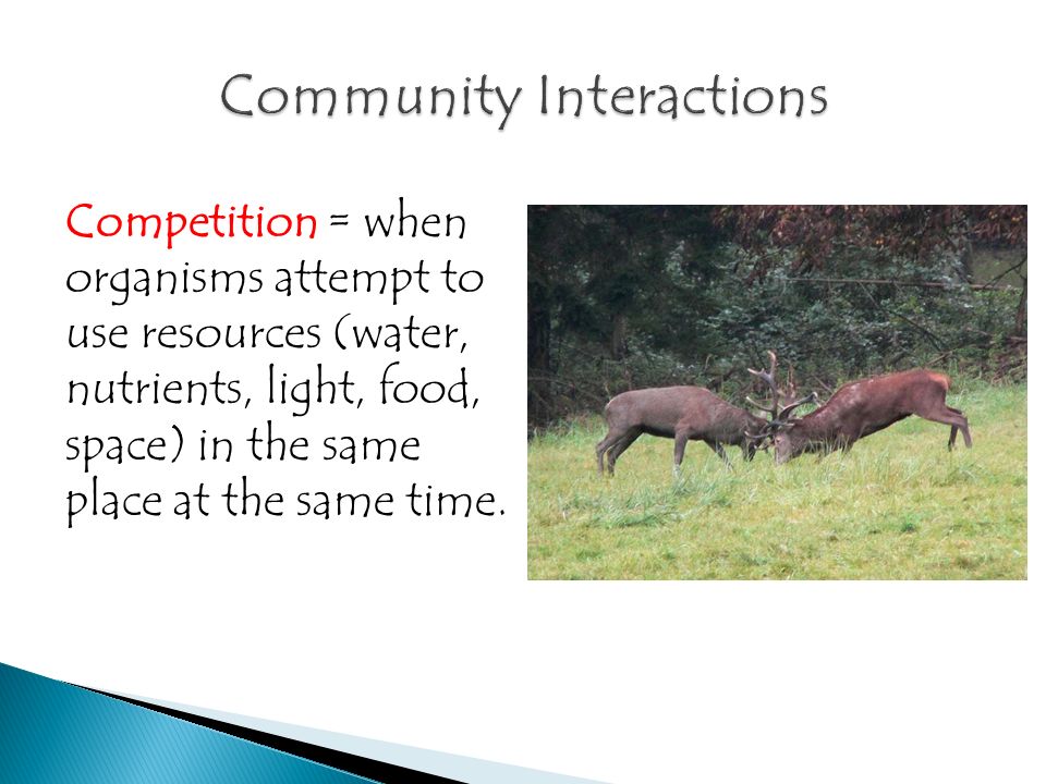 Competition = when organisms attempt to use resources (water, nutrients, light, food, space) in the same place at the same time.