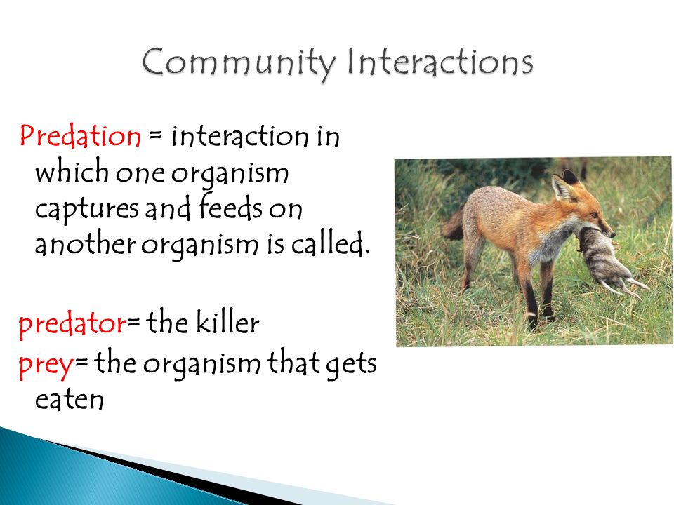 Predation = interaction in which one organism captures and feeds on another organism is called.