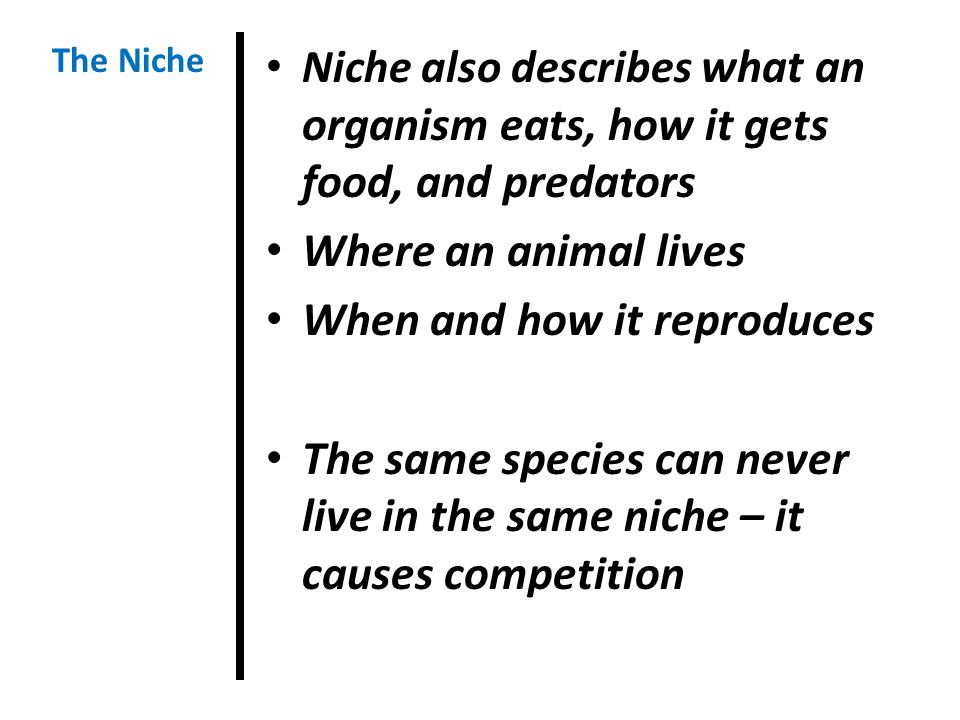 Niche also describes what an organism eats, how it gets food, and predators Where an animal lives When and how it reproduces The same species can never live in the same niche – it causes competition The Niche