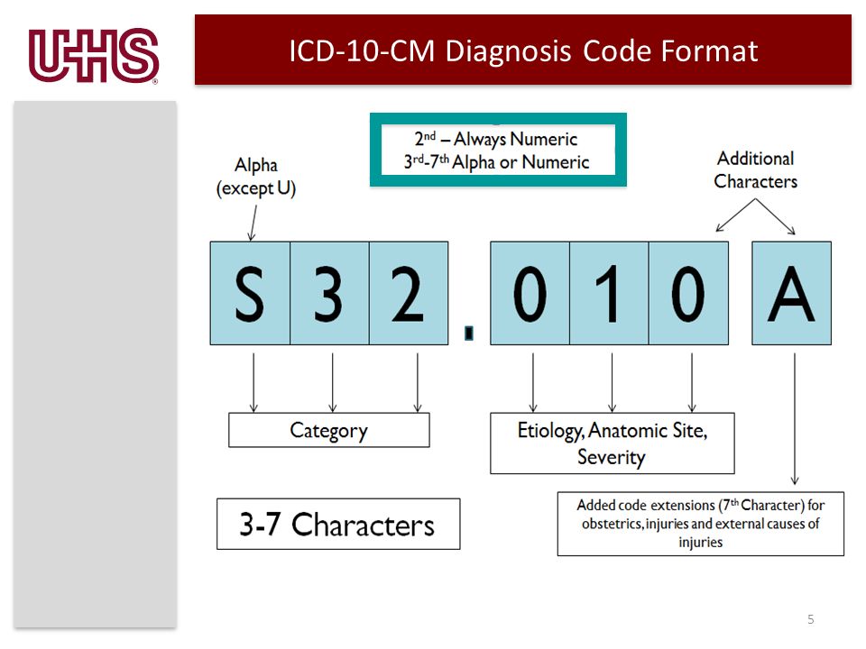 ICD-10-CM Diagnosis Code Format 5