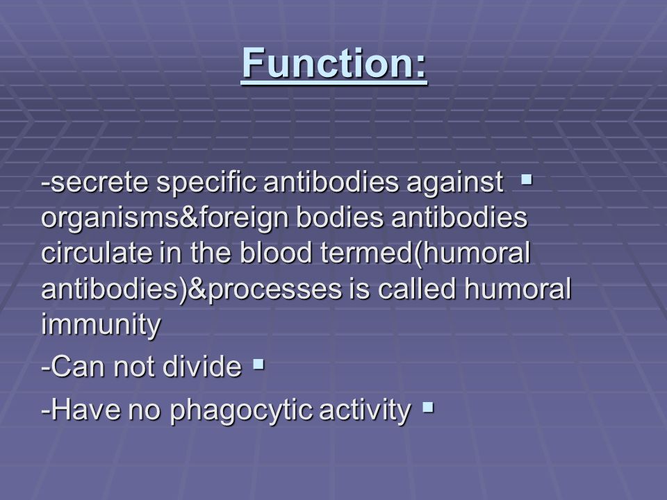Function:  -secrete specific antibodies against organisms&foreign bodies antibodies circulate in the blood termed(humoral antibodies)&processes is called humoral immunity  -Can not divide  -Have no phagocytic activity