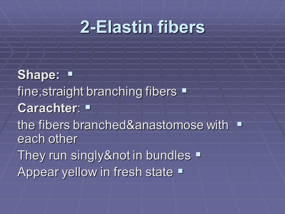 2-Elastin fibers  Shape:  fine,straight branching fibers  Carachter:  the fibers branched&anastomose with each other  They run singly&not in bundles  Appear yellow in fresh state