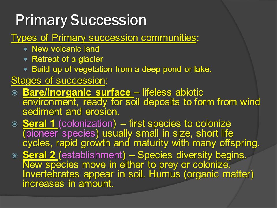 stages of lake succession