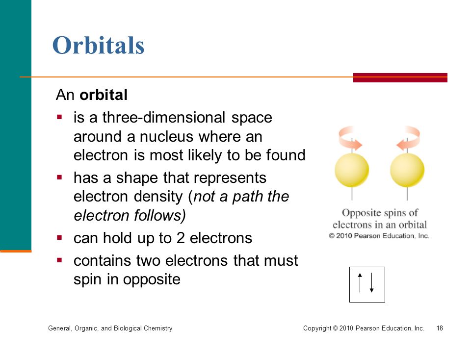 General, Organic, and Biological Chemistry Copyright © 2010 Pearson Education, Inc.18 Orbitals An orbital  is a three-dimensional space around a nucleus where an electron is most likely to be found  has a shape that represents electron density (not a path the electron follows)  can hold up to 2 electrons  contains two electrons that must spin in opposite