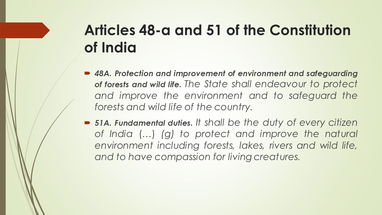 Article 51 of the Constitution of the Russian Federation. Help to understand the essence of the first paragraph, preferably on specific examples Article 51 of the Constitution of the Russian Federation. Help to understand the essence of the first paragraph, preferably on specific examples