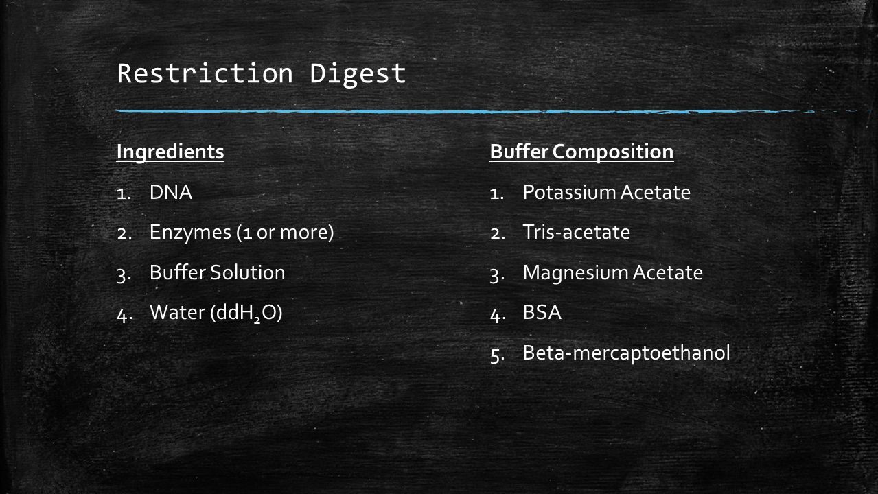 Restriction Digest Ingredients 1.DNA 2.Enzymes (1 or more) 3.Buffer Solution 4.Water (ddH 2 O) Buffer Composition 1.Potassium Acetate 2.Tris-acetate 3.Magnesium Acetate 4.BSA 5.Beta-mercaptoethanol