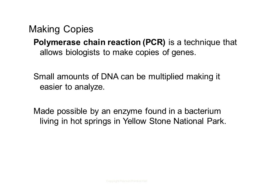 Copyright Pearson Prentice Hall Making Copies Polymerase chain reaction (PCR) is a technique that allows biologists to make copies of genes.