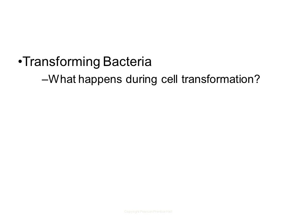 Copyright Pearson Prentice Hall Transforming Bacteria –What happens during cell transformation