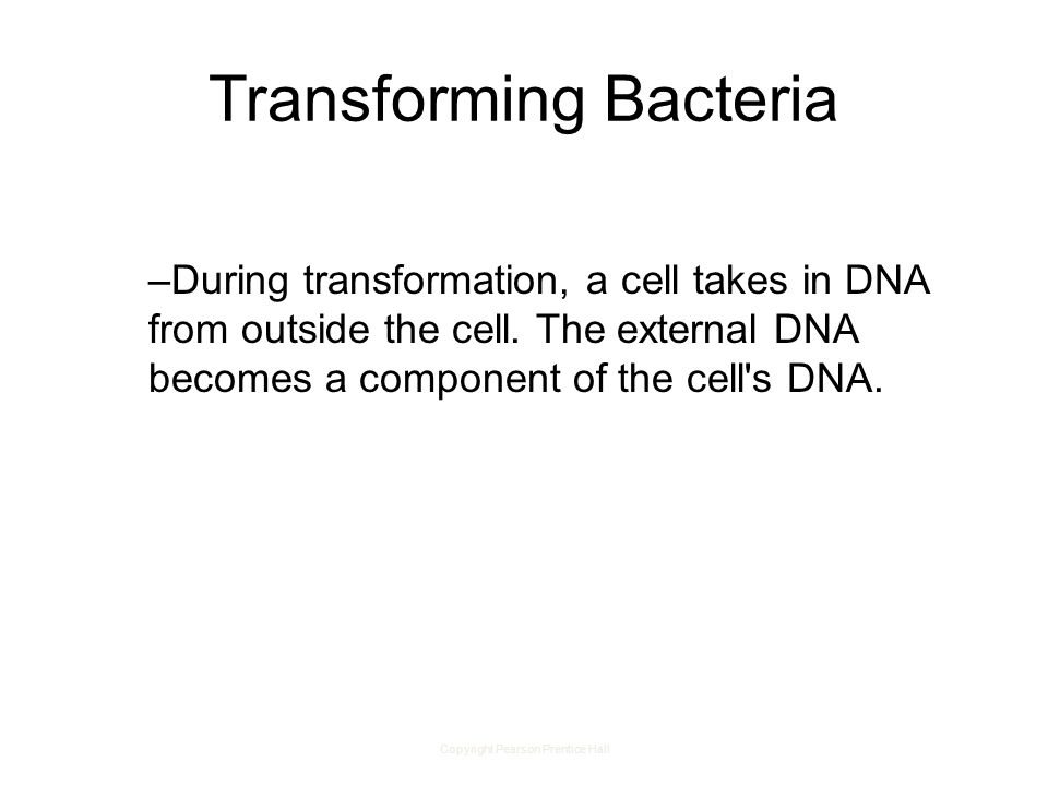 Copyright Pearson Prentice Hall Transforming Bacteria –During transformation, a cell takes in DNA from outside the cell.