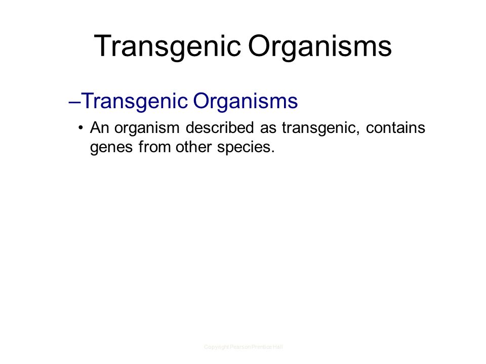 Copyright Pearson Prentice Hall Transgenic Organisms –Transgenic Organisms An organism described as transgenic, contains genes from other species.