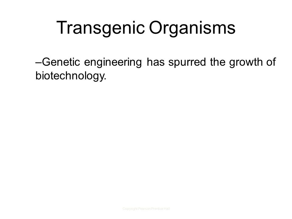 Copyright Pearson Prentice Hall Transgenic Organisms –Genetic engineering has spurred the growth of biotechnology.