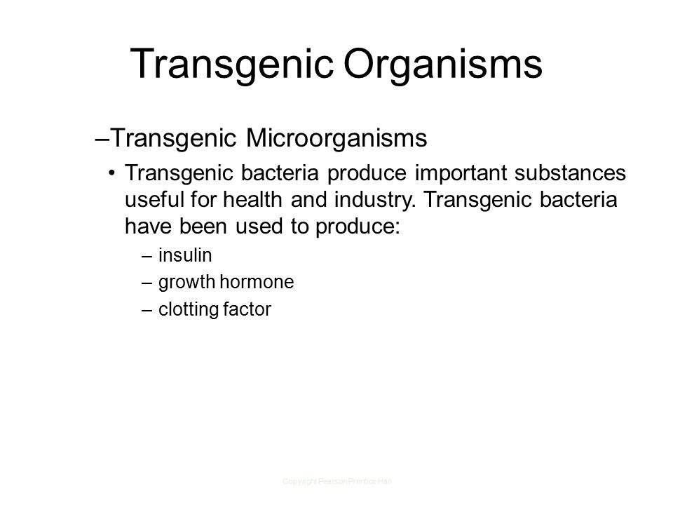 Copyright Pearson Prentice Hall Transgenic Organisms –Transgenic Microorganisms Transgenic bacteria produce important substances useful for health and industry.