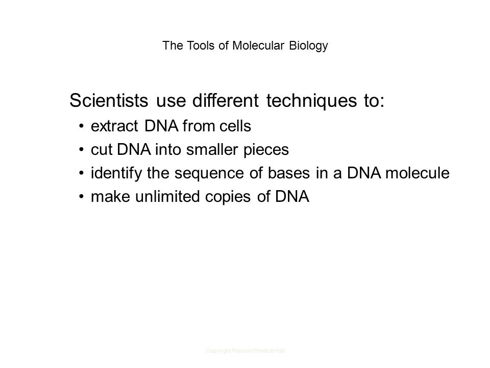 Copyright Pearson Prentice Hall The Tools of Molecular Biology Scientists use different techniques to: extract DNA from cells cut DNA into smaller pieces identify the sequence of bases in a DNA molecule make unlimited copies of DNA