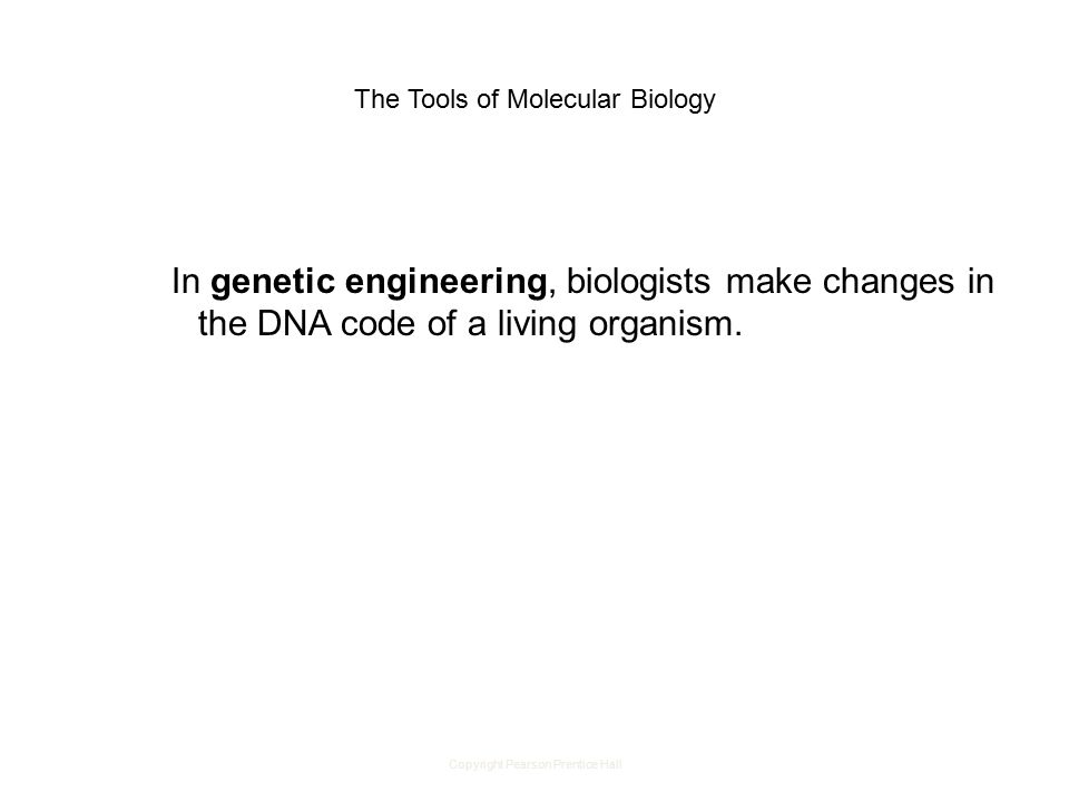 Copyright Pearson Prentice Hall The Tools of Molecular Biology In genetic engineering, biologists make changes in the DNA code of a living organism.