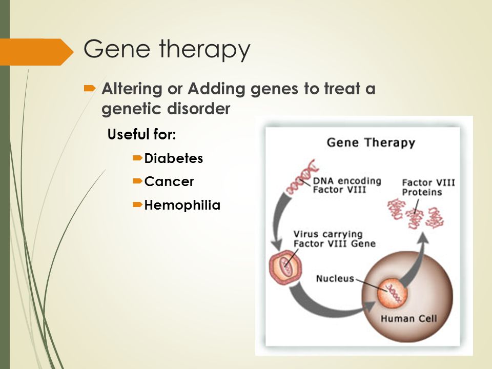 Gene therapy  Altering or Adding genes to treat a genetic disorder Useful for:  Diabetes  Cancer  Hemophilia