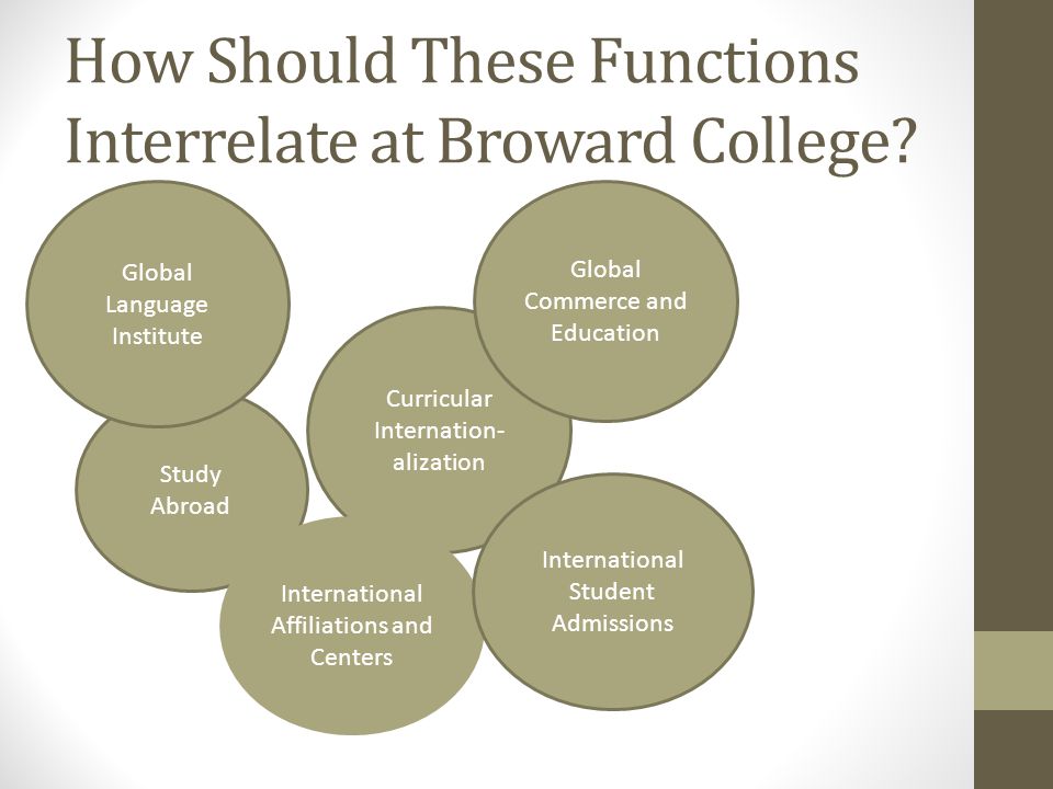 Broward College Organizational Chart