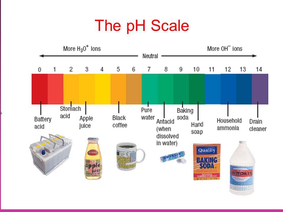 20 The pH Scale