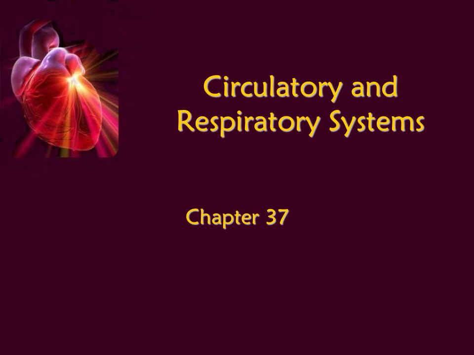 Circulatory and Respiratory Systems Chapter 37