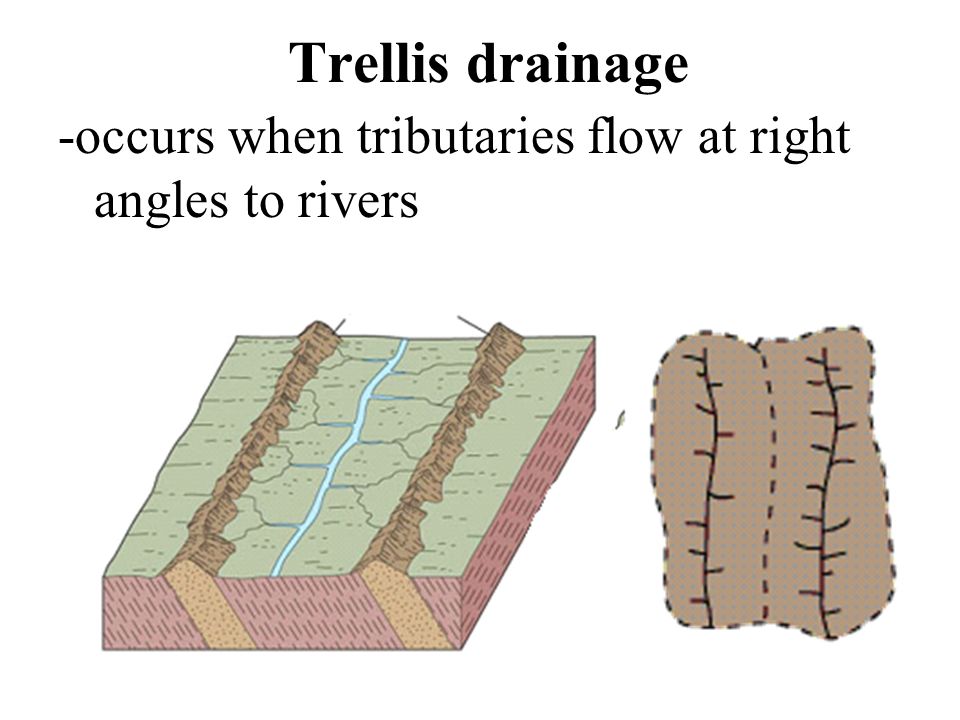 Trellis drainage -occurs when tributaries flow at right angles to rivers
