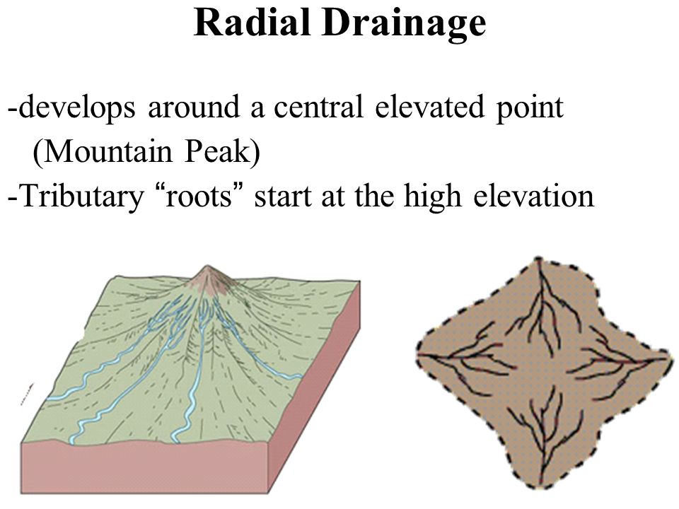 Radial Drainage -develops around a central elevated point (Mountain Peak) -Tributary roots start at the high elevation