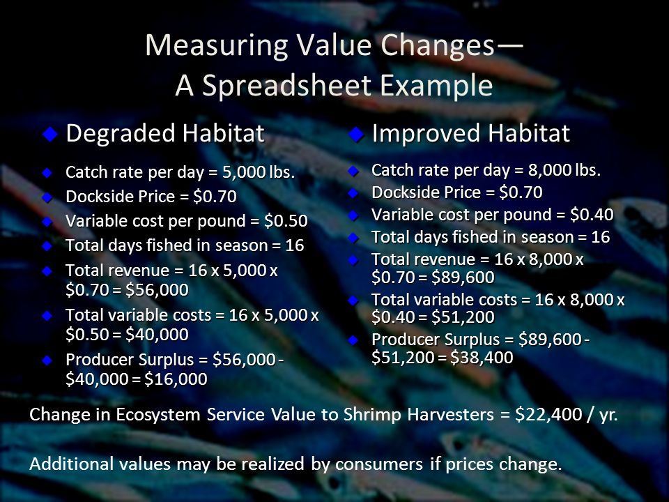 Measuring Value Changes— A Spreadsheet Example  Degraded Habitat  Catch rate per day = 5,000 lbs.