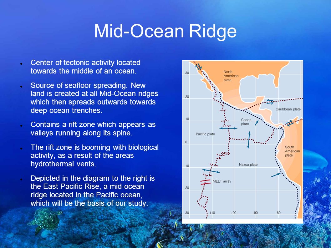 Life in Extreme Environments: A Study of the Prevalence of life in the  Depths of an Underwater Rift Zone. - ppt download