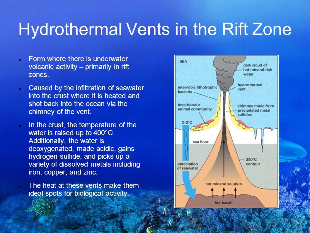 Life in Extreme Environments: A Study of the Prevalence of life in the  Depths of an Underwater Rift Zone. - ppt download