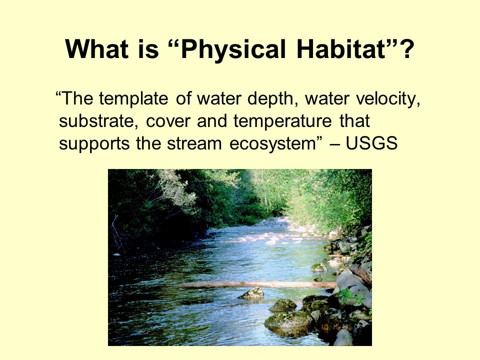 Physical Stream Habitat. What is “Habitat”? Broad Definition (EPA): “The  spatial structure of the environment which allows species to live,  reproduce, - ppt download