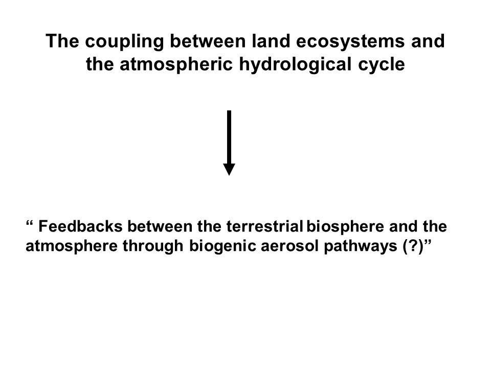 Feedbacks between the terrestrial biosphere and the atmosphere through biogenic aerosol pathways ( ) The coupling between land ecosystems and the atmospheric hydrological cycle
