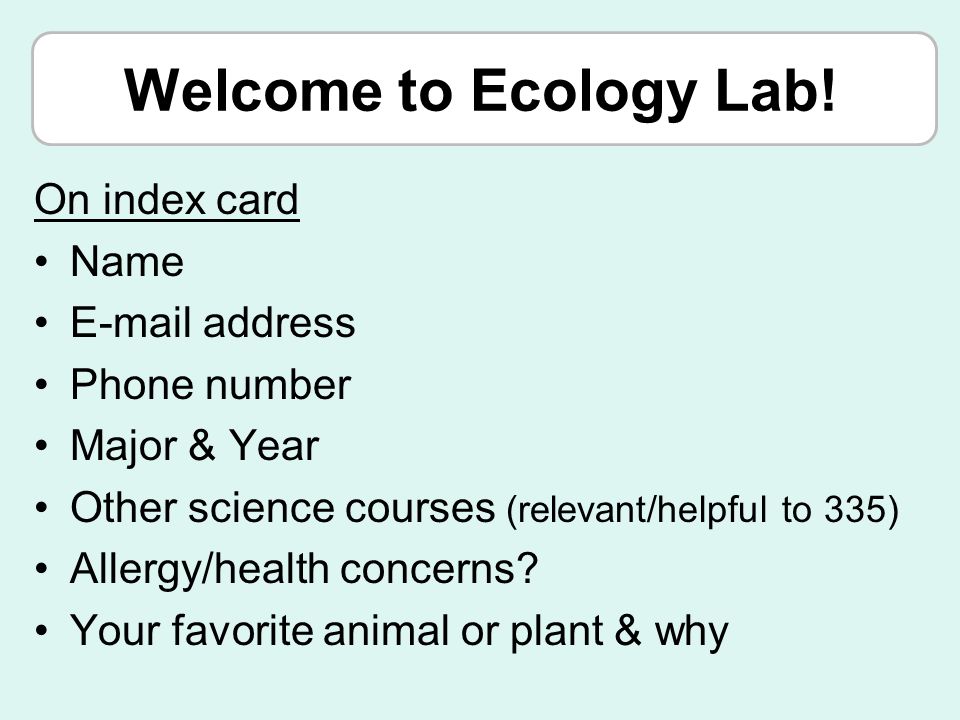 welcome to ecology lab on index card name address phone number name and address from phone number