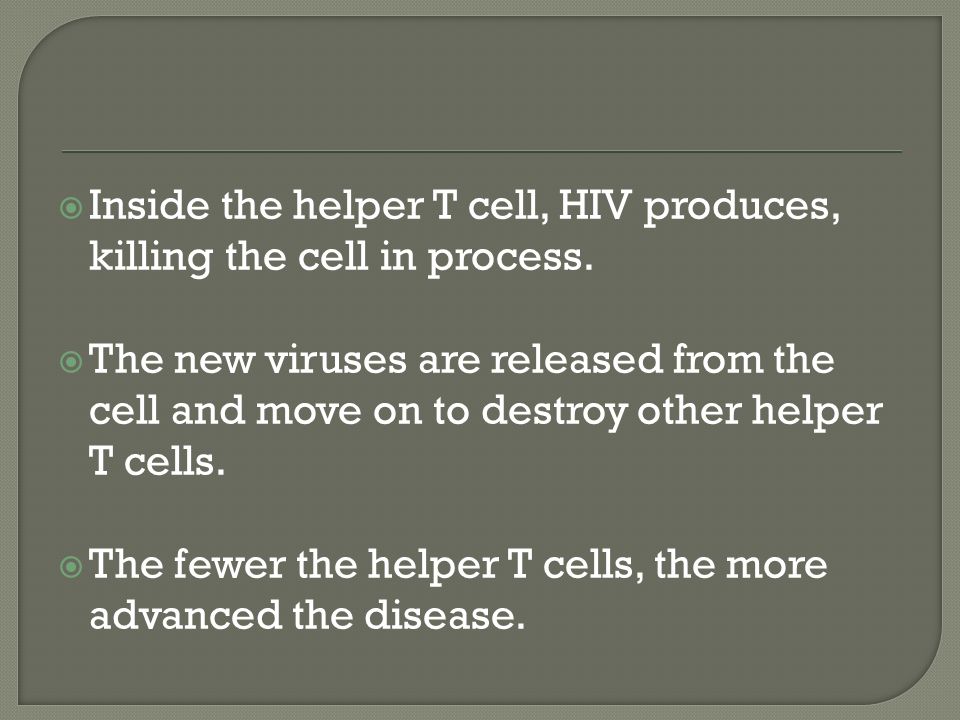  Inside the helper T cell, HIV produces, killing the cell in process.