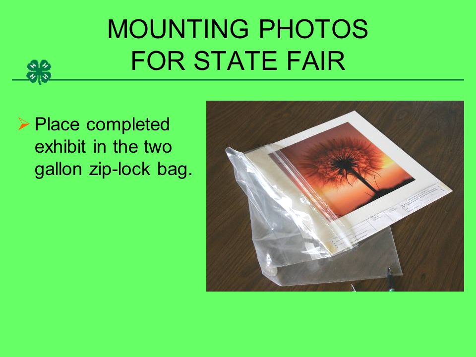 MOUNTING PHOTOS FOR STATE FAIR  Place completed exhibit in the two gallon zip-lock bag.