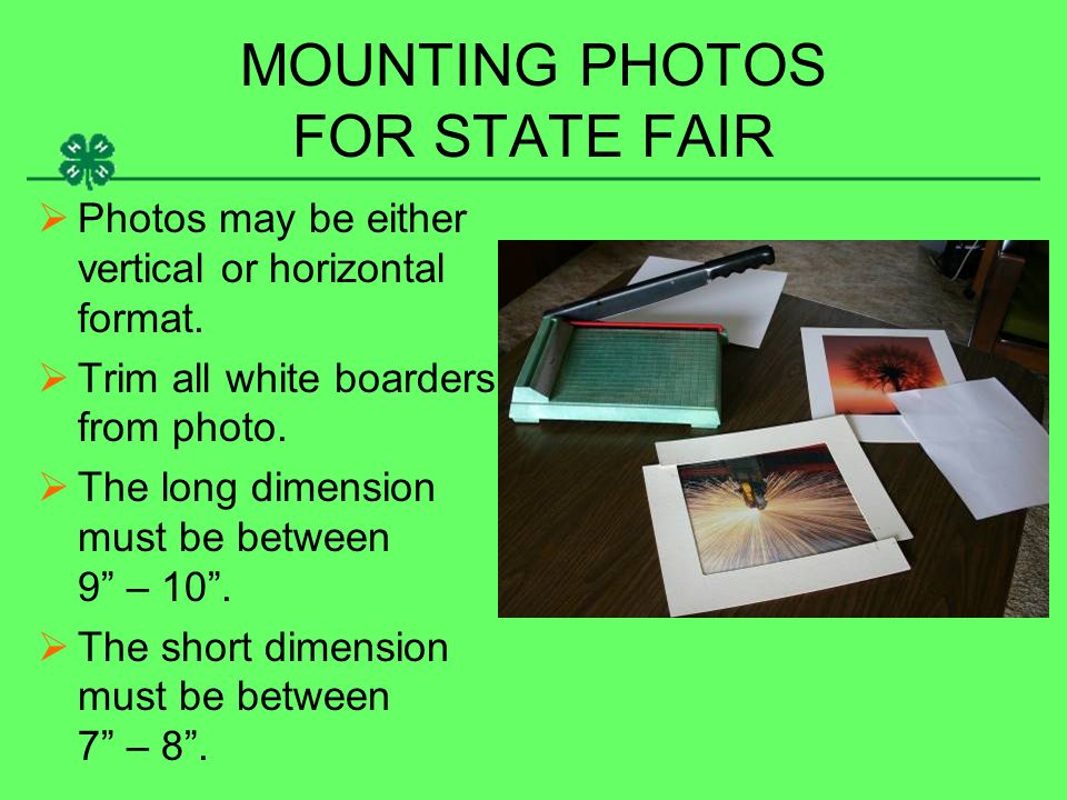 MOUNTING PHOTOS FOR STATE FAIR  Photos may be either vertical or horizontal format.