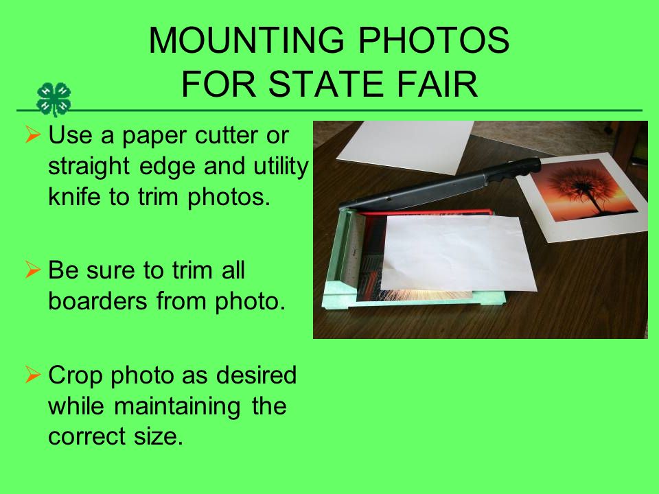 MOUNTING PHOTOS FOR STATE FAIR  Use a paper cutter or straight edge and utility knife to trim photos.