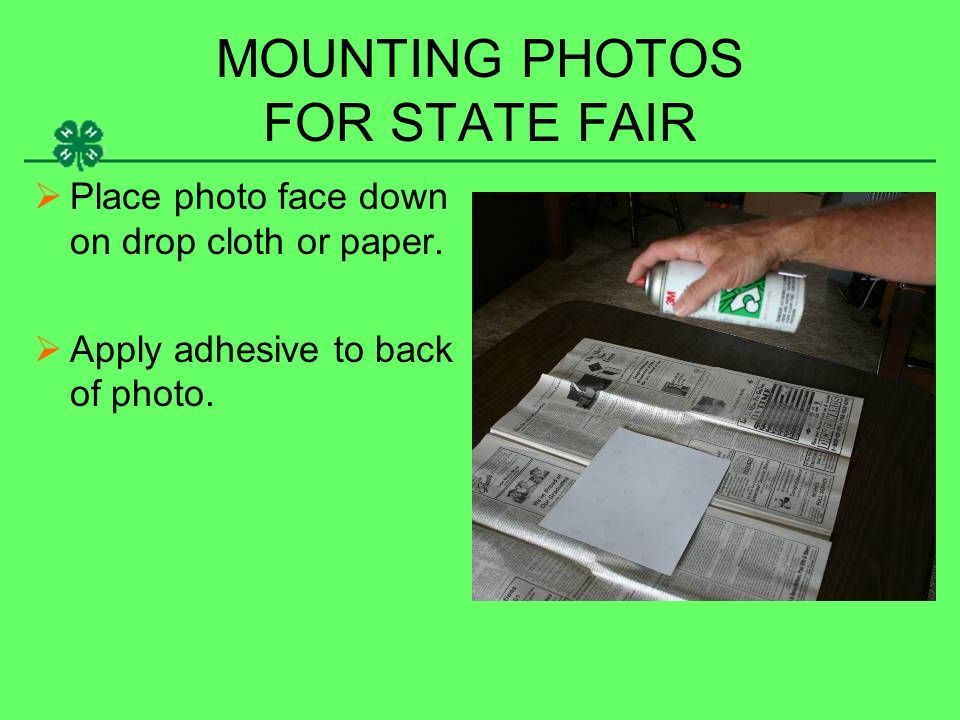 MOUNTING PHOTOS FOR STATE FAIR  Place photo face down on drop cloth or paper.