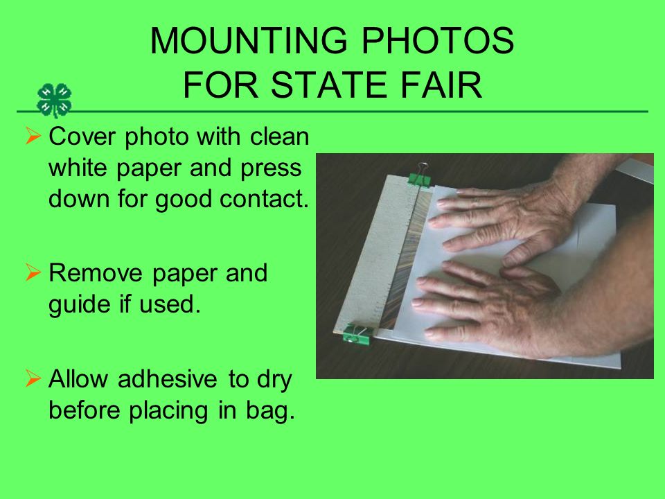 MOUNTING PHOTOS FOR STATE FAIR  Cover photo with clean white paper and press down for good contact.