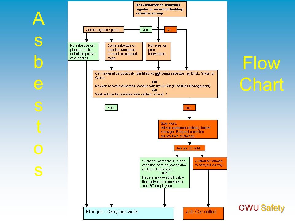 Asbestos Management Plan Flow Chart