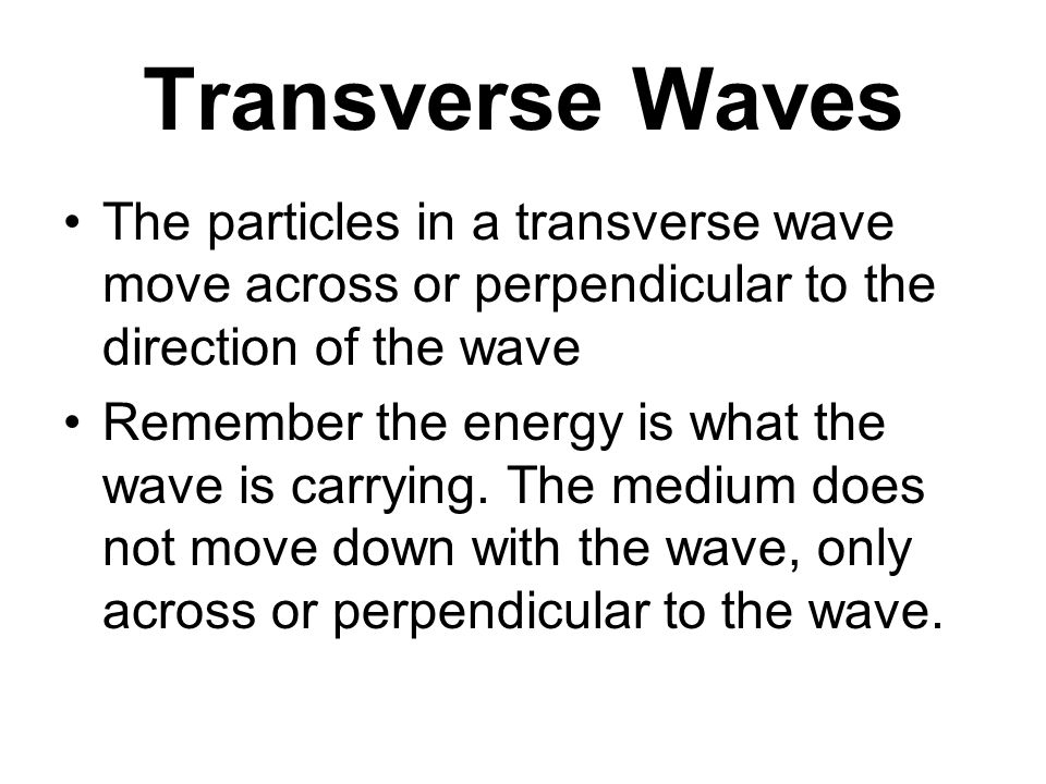 Transverse Waves The particles in a transverse wave move across or perpendicular to the direction of the wave Remember the energy is what the wave is carrying.