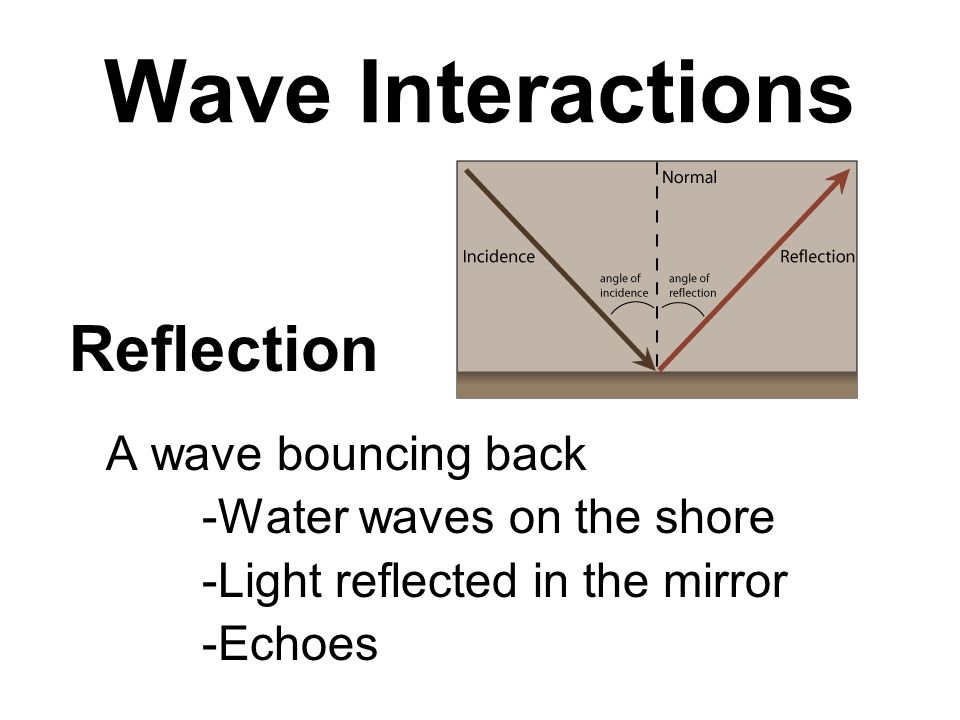 Wave Interactions A wave bouncing back -Water waves on the shore -Light reflected in the mirror -Echoes Reflection