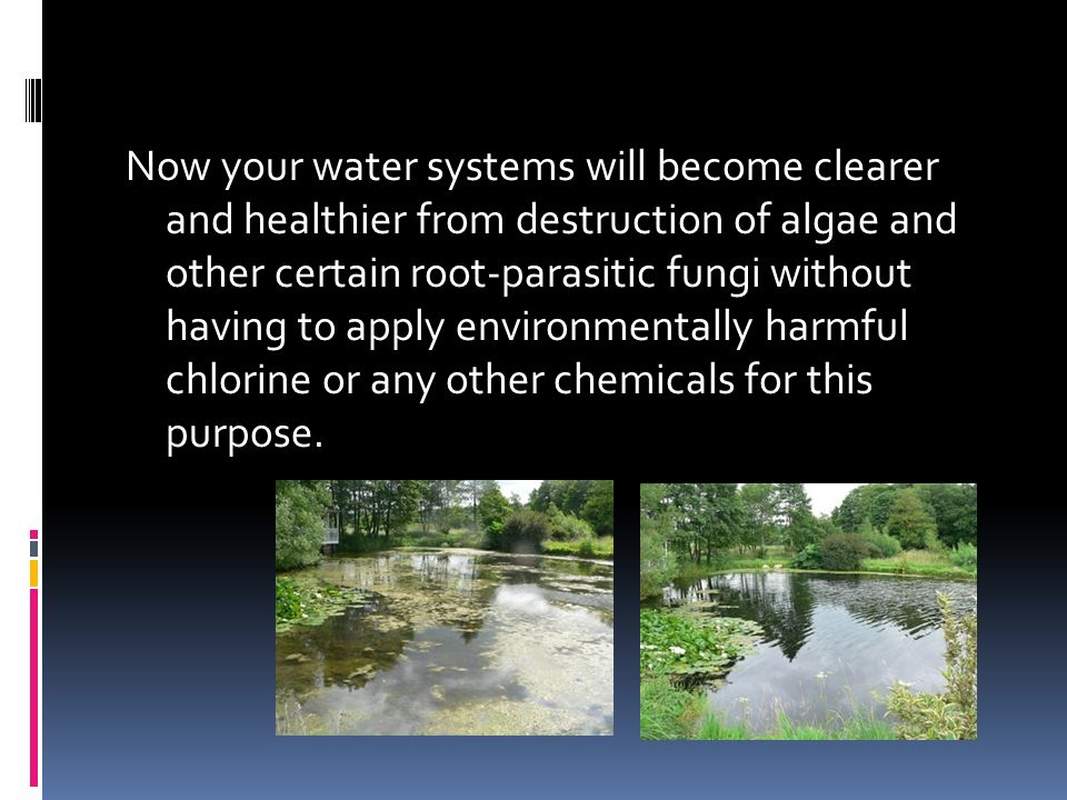 Now your water systems will become clearer and healthier from destruction of algae and other certain root-parasitic fungi without having to apply environmentally harmful chlorine or any other chemicals for this purpose.